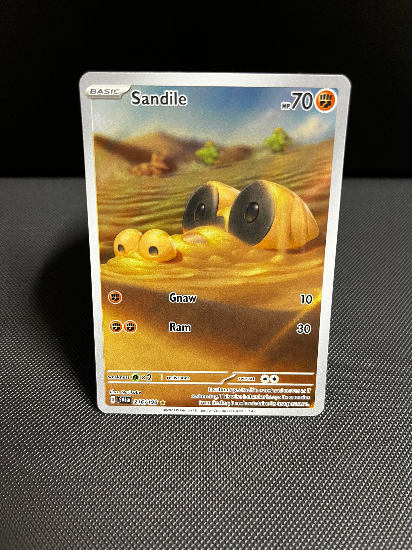 Sandile - Scarlet & Violet
